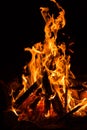 Campfire in the darkness of the night Royalty Free Stock Photo