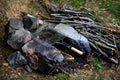 Campfire with empty grilling basket, adventure lifestyle camping food