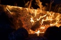 Campfire flame in the dark. Visible flames and hot coals. Close-up Royalty Free Stock Photo