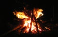 Campfire flame in the night summer forest Traveling in the wild nature of Ukraine Royalty Free Stock Photo