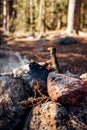 Campfire in the forest a sunny day