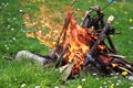 Campfire among green grass and flowers Royalty Free Stock Photo