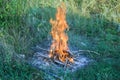 Campfire on a green grass preperation Royalty Free Stock Photo