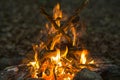 Campfire Royalty Free Stock Photo