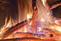 Campfire at the night. Royalty Free Stock Photo