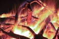 Campfire at the night. Royalty Free Stock Photo