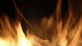 Campfire In The Night. Burning logs in orange flames close up. Background of the fire. Beautiful fire burns brightly Royalty Free Stock Photo