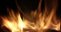 Campfire In The Night. Burning logs in orange flames close up. Background of the fire. Beautiful fire burns brightly Royalty Free Stock Photo