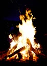 Campfire, night and wood burning outdoor in nature, forest or countryside. Bonfire flame, firewood or heating, light or