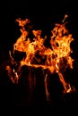 Campfire with orange flames dancing in the night Royalty Free Stock Photo