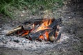 Campfire with roaring flames in the forest