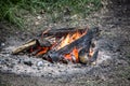 Campfire with roaring flames in the forest