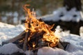 Campfire in the snow. Picnic in winter. Outdoor activity