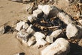 Campfire strewn with stones and leaves in a beach Royalty Free Stock Photo