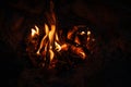 Campfire at touristic camp. Burning wood. Flame and fire sparks on dark background Royalty Free Stock Photo