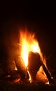 Golden orange campfire flames in vertical image with copyspace Royalty Free Stock Photo