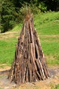 Campfire wood