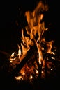 Campfire in the woods Royalty Free Stock Photo