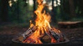 Campfire in the Woods at Night A crackling campfire burns brightly in a metal fire pit surrounded by a dark forest at night Royalty Free Stock Photo