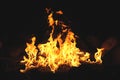 Campfire Wth Billowing Flames