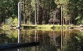 Campground in forest in Yosemite Royalty Free Stock Photo