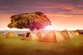 Campground in the mountains of the Ngorongoro crater . Africa. T