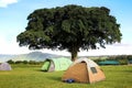 Campground in the mountains of the Ngorongoro crater . Africa.