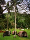 Campground at Wua Talab beach, Ang Thong National Marine Park, T Royalty Free Stock Photo