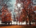 Campgrounds in autumn