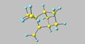 Camphene molecular structure isolated on grey