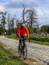 Amateur Cyclist - Paris-Roubaix 2014 Royalty Free Stock Photo