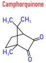 Camphorquinone visible-light photoinitiator molecule. Skeletal formula. Royalty Free Stock Photo
