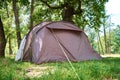 Campimg tent in pine forest in a summer day. Tourist camp Royalty Free Stock Photo