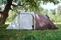 Campimg tent in pine forest in a summer day. Tourist camp Royalty Free Stock Photo