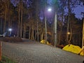 Camping activities using yellow tents by burning campfires at night in the pine forest Royalty Free Stock Photo