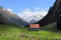 The camping on the Arashan river and the mount Palatka on the background near Karakol city, Kyrgyzstan