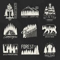 Camping badges, mountains coniferous forest and wooden logo. wild nature. landscapes with pine trees and hills. emblem Royalty Free Stock Photo