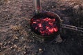 Camping barbecue fried natural coals