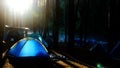 Camping and blue tent in pine forest by lake with beautiful sunshine in dawn Royalty Free Stock Photo