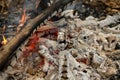 Camping with bonfire ash close up view. Royalty Free Stock Photo