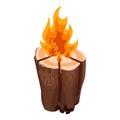 Camping bonfire from tree trunk vector illustration isolated on white