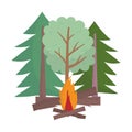 Camping bonfire trees forest wooden cartoon isolated design