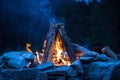 Camping bonfire with yellow and red flames in summer, forest. Copy space