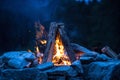 Camping bonfire with yellow and red flames in summer, forest. Copy space