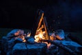 Camping bonfire with yellow and red flames in summer, forest. Copy space