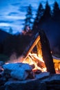 Camping bonfire with yellow and red flames in summer, forest. Copy space