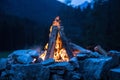 Camping bonfire with yellow and red flames in summer, forest. Copy space