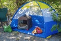 Camping Cat relaxing in the shade Royalty Free Stock Photo