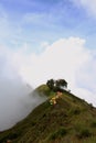 Camping in the clouds on the crater of mt Rinjani Royalty Free Stock Photo