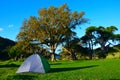 Camping and Coastal Path in Great Barrier Island